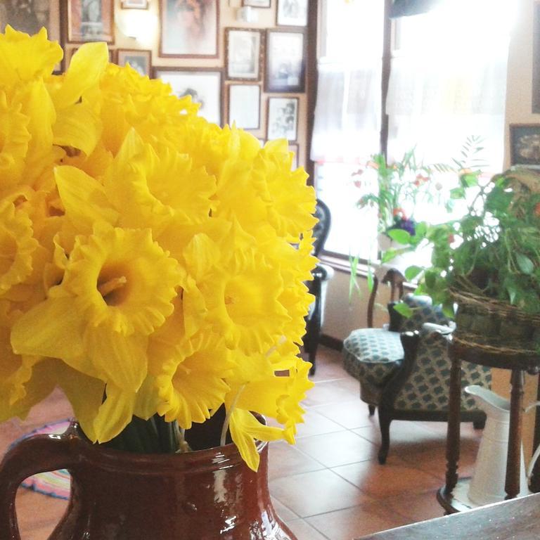 Hostal Santa Agueda Tarazona Zewnętrze zdjęcie
